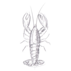 homard-accueil-01