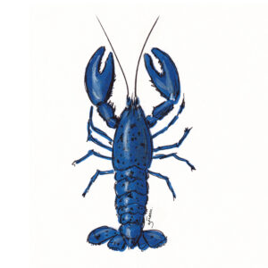 homard-accueil-02