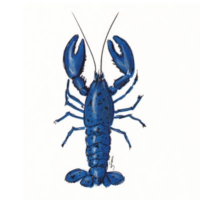 homard-accueil-02